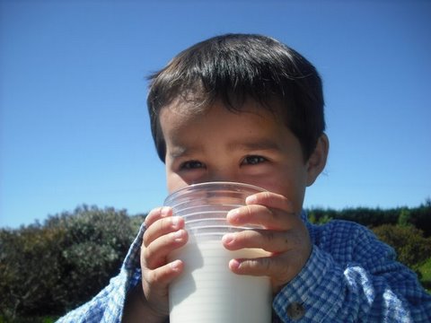 Enjoying-Fresh-Goats-Milk