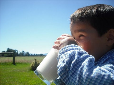 fresh-goat-milk